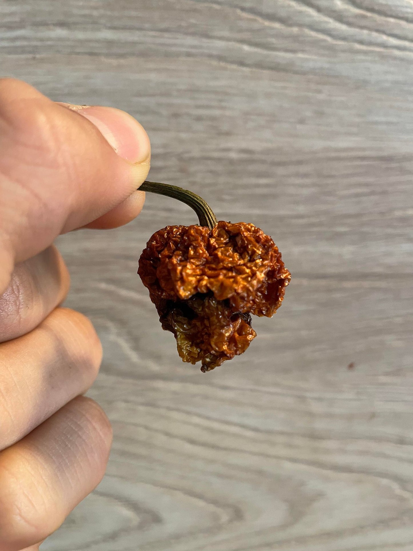 Carolina reaper